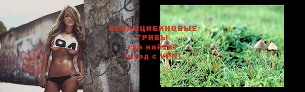 ALPHA-PVP Надым