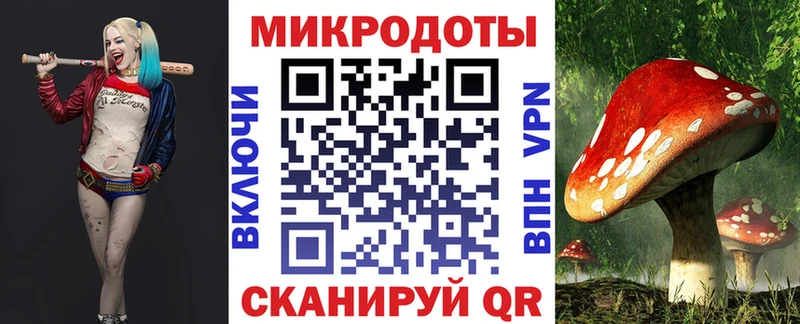 Псилоцибиновые грибы MAGIC MUSHROOMS  наркотики  Ялуторовск 