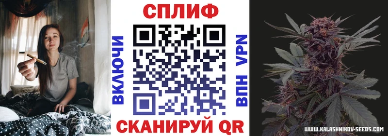 купить наркотик  Ялуторовск  Бошки Шишки ГИДРОПОН 